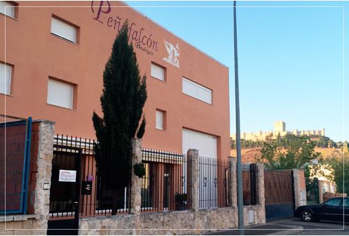 penafalcon_bodega