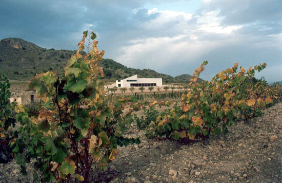 bodegaspagosdelrey1