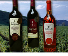 bodegascastillogumiel_botella