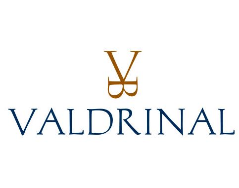 Logo from winery Bodega Valdrinal (Surco)