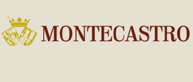 Logo de la bodega Bodegas y Viñedos Montecastro