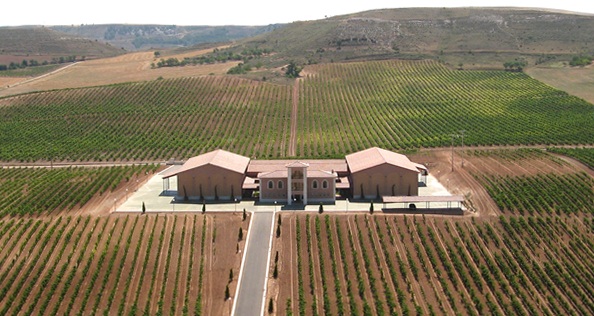 bodegastrus1