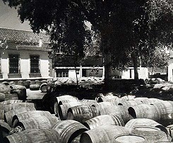 bodegasterranatura1
