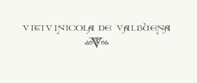 Logo de la bodega Vitivinícola de Valbuena (Tinto Carme)