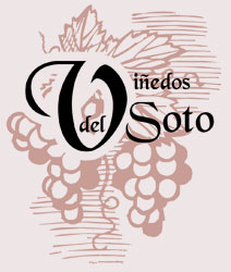 Logo de la bodega Viñedos del Soto, S.L.