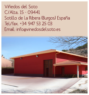 bodegasvinedosdelsoto2