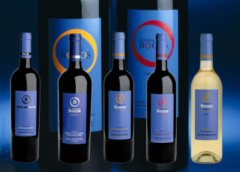 bodegaslosmatucos_botella