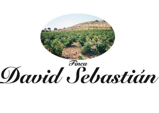 Logo de la bodega Bodegas David Sebastián