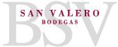 Logo from winery Bodegas San Valero (Grupo BSV)