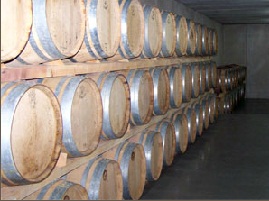 bodegasfincacollado2