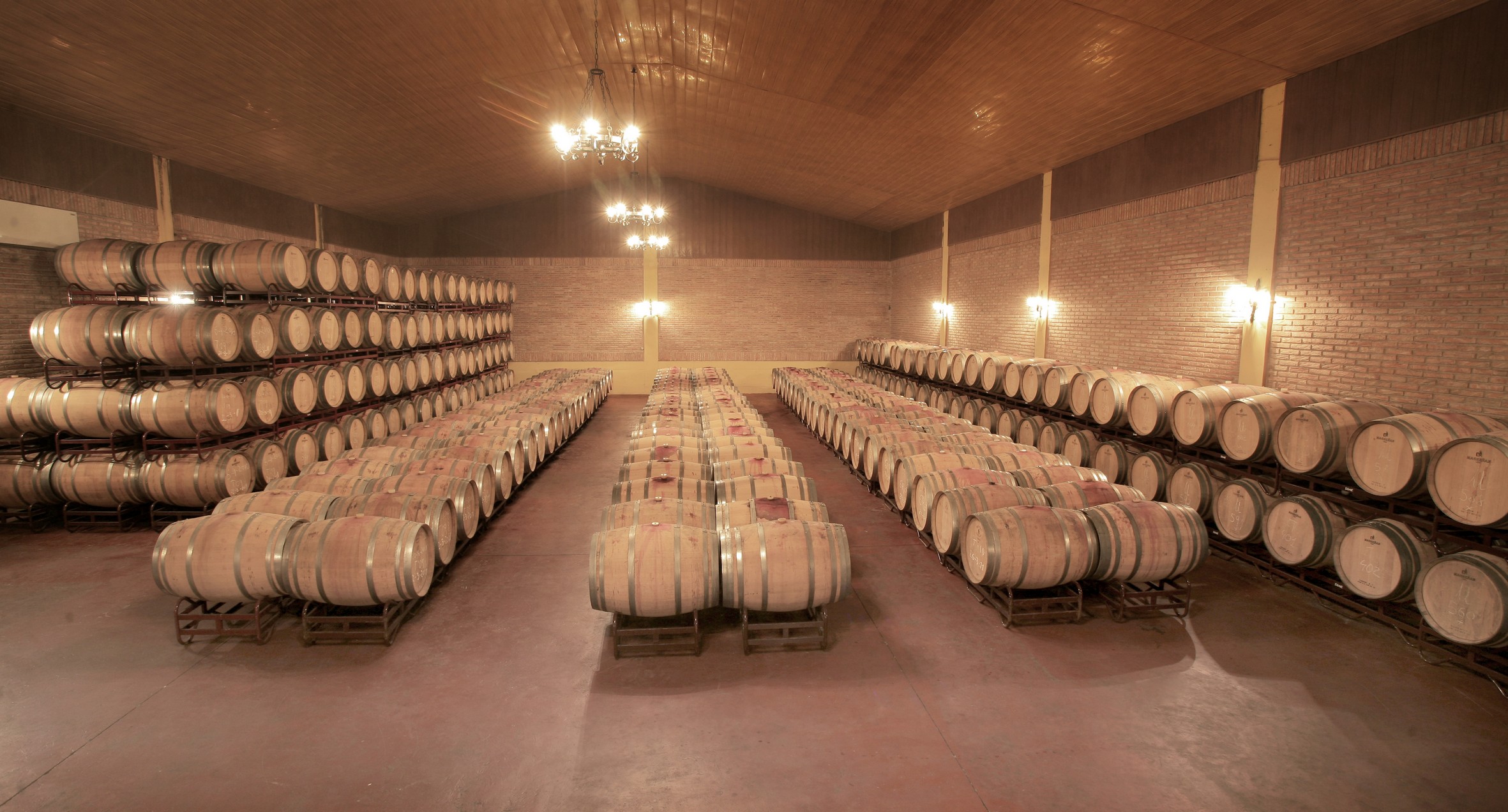 bodegasalvar2