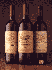 bodegasantiguausanza_botella