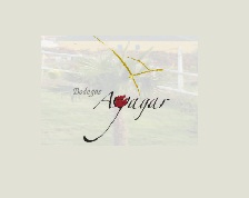 Logo de la bodega Bodegas Ayagar