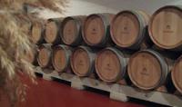 bodegasbetolaza2