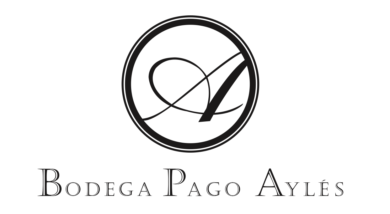 bodega_pago_ayles