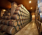 bodegasvirgenaguila3