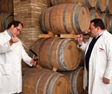 bodegasvirgenaguila4