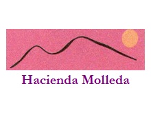Logo de la bodega Hacienda Molleda - Xucrogas, S.A.