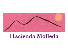 bodegashaciendamolleda