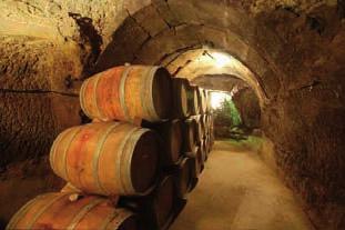 bodegasgonzalezteso2