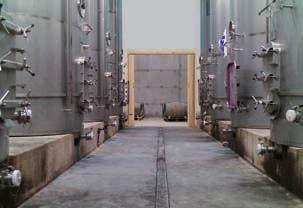 bodegashermanosfernandez2