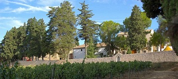 bodegasalbetinoya1