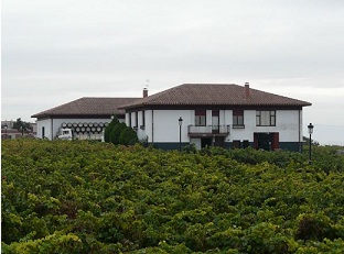 bodegasibaiondo1