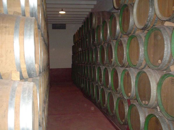 bodegasibaiondo2