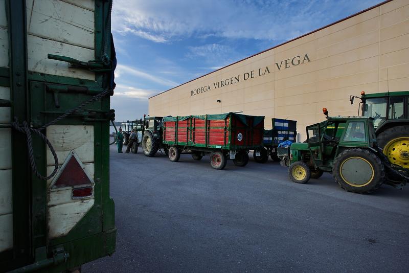 bodegasvirgendelavega2