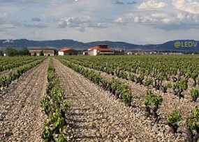 bodegaslaemperatriz2