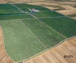 bodegaslaemperatriz3