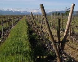 bodegaslaemperatriz4