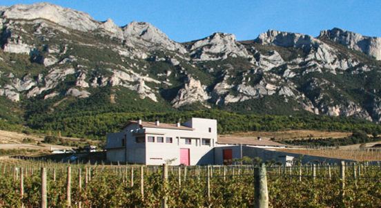 bodegaslauna1
