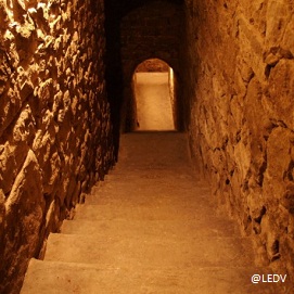 bodegasmarquesdearviza2