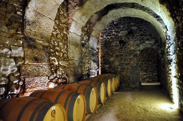 bodegasmarquesdearviza5