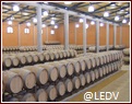 bodegascamponuble3