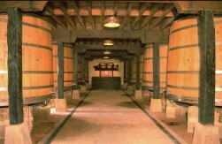 bodegasmarquesderiscal4