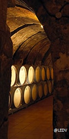bodegasvalserrano3