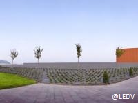 bodegasmartinezlacuesta2