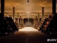 bodegasmartinezlacuesta4
