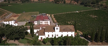 bodegassumarroca1