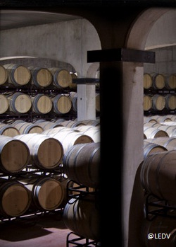 bodegasmartinezpalacios2