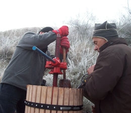 bodegasmartinezruiz2