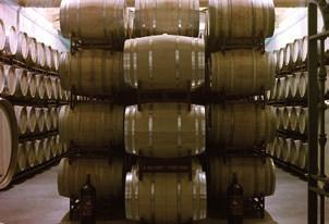 bodegasmedranoirazu2