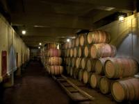 bodegasmurilloviteri2