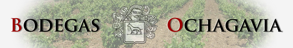 Logo de la bodega Bodegas Ochagavía - Juan Pedro Ochagavía Díez