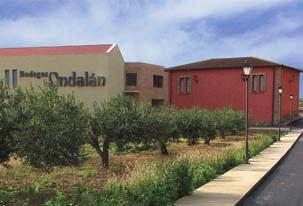 bodegasondalan2