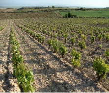 bodegasortubia2