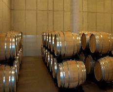 bodegasortubia4