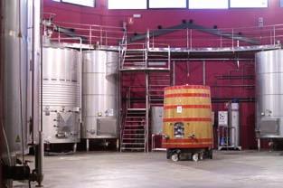 bodegaspalaciosduque2